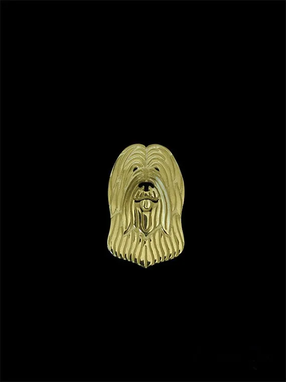 Briard (natural ears)1