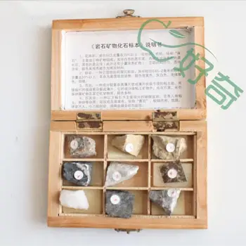 

Free shipping rocket specimen with wooden case