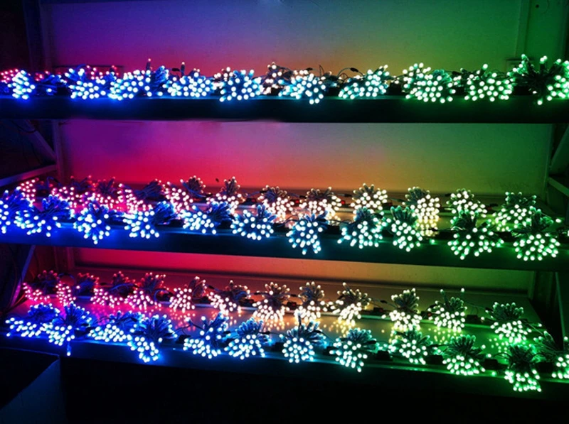 3215329022_53422803