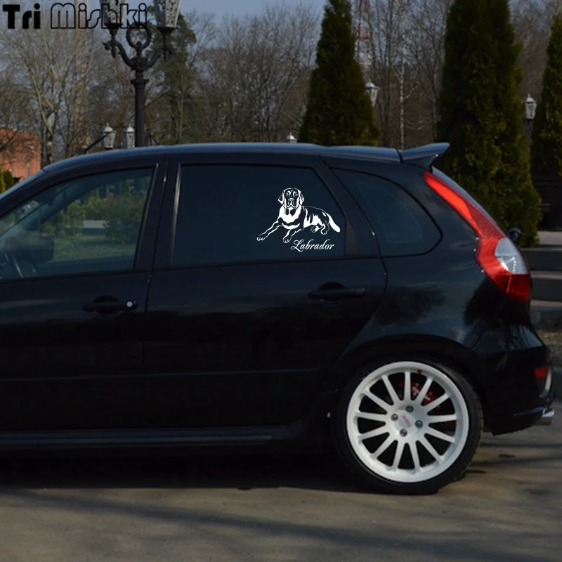 lada kalina (8)_