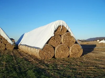 Aliexpress Aliexpress