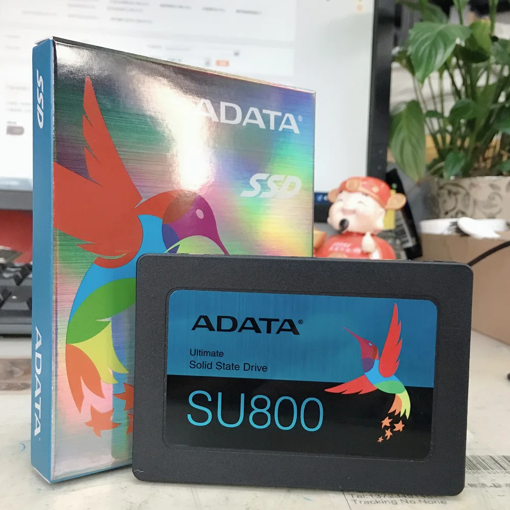 ADATA SU800_1