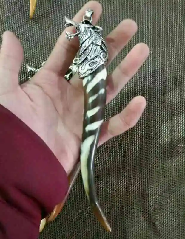 

The pieces of goat horn horn horn The spring comes in full form. crafts