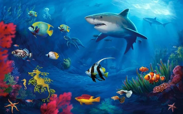 underwater camera world