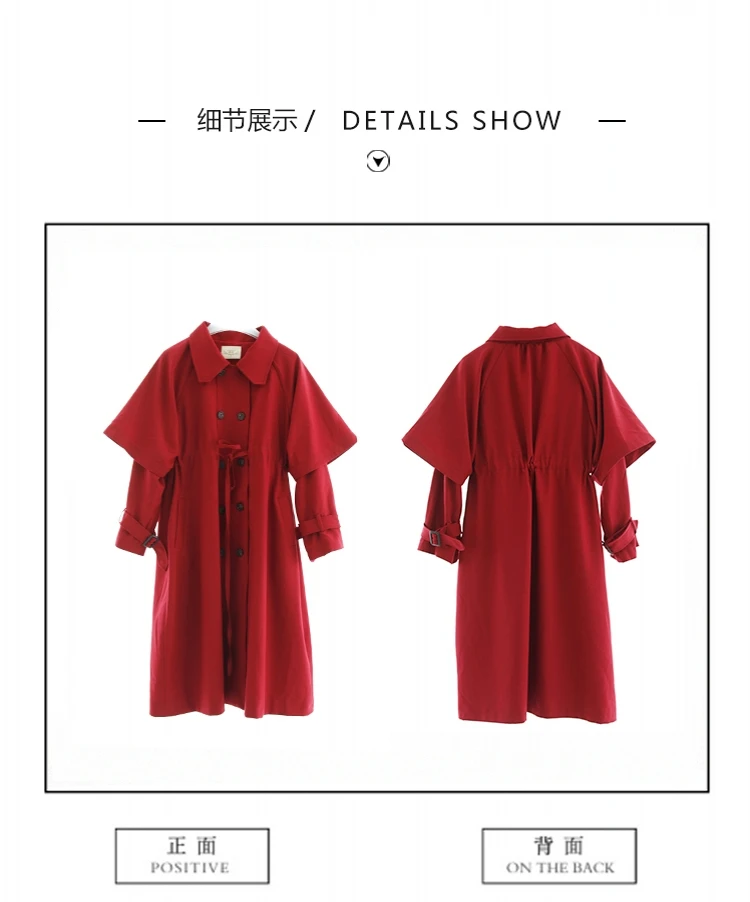 13_conew1