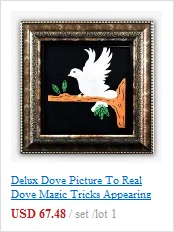 Delux Dove картина настоящий магический голубь трюки, появляющийся голубь в раме профессиональный маг сценическая иллюзия, трюк, реквизит аксессуары