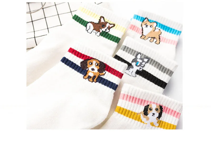 [COSPLACOOL] Японский мопса забавные носки с милыми животными мультфильм носки для девочек Harajuku в полоску новые творческие Calcetines Mujer Sokken