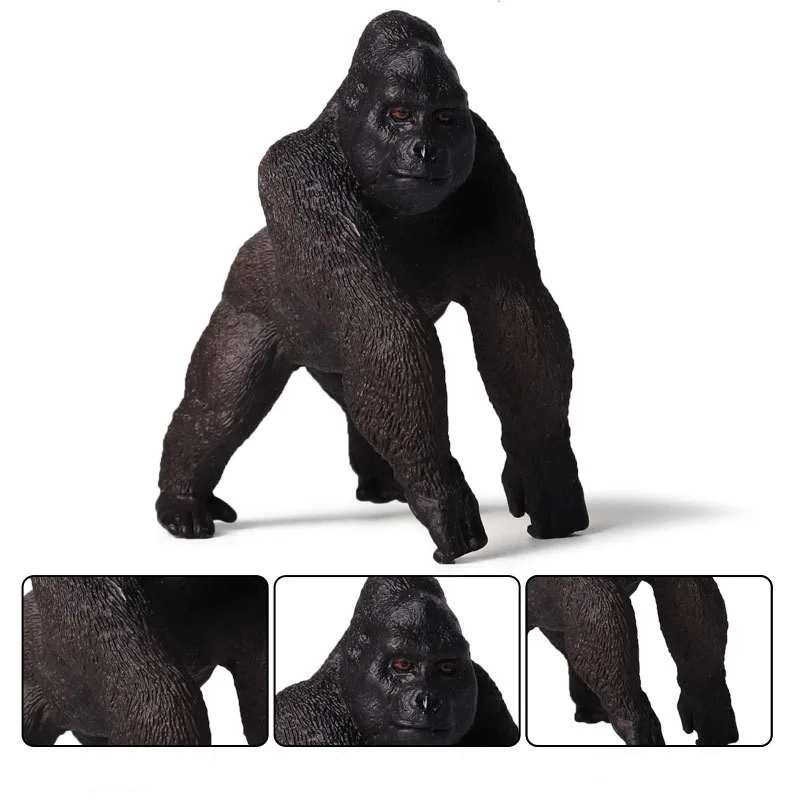 Gorilla (1)