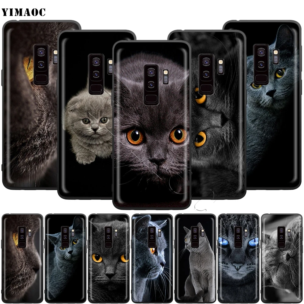 

YIMAOC British Shorthair Cat Case for Samsung Galaxy A7 A8 A9 S10 J6 Plus A10 A20 A30 A40 A50 A60 A70 M10 M20 M30 M40