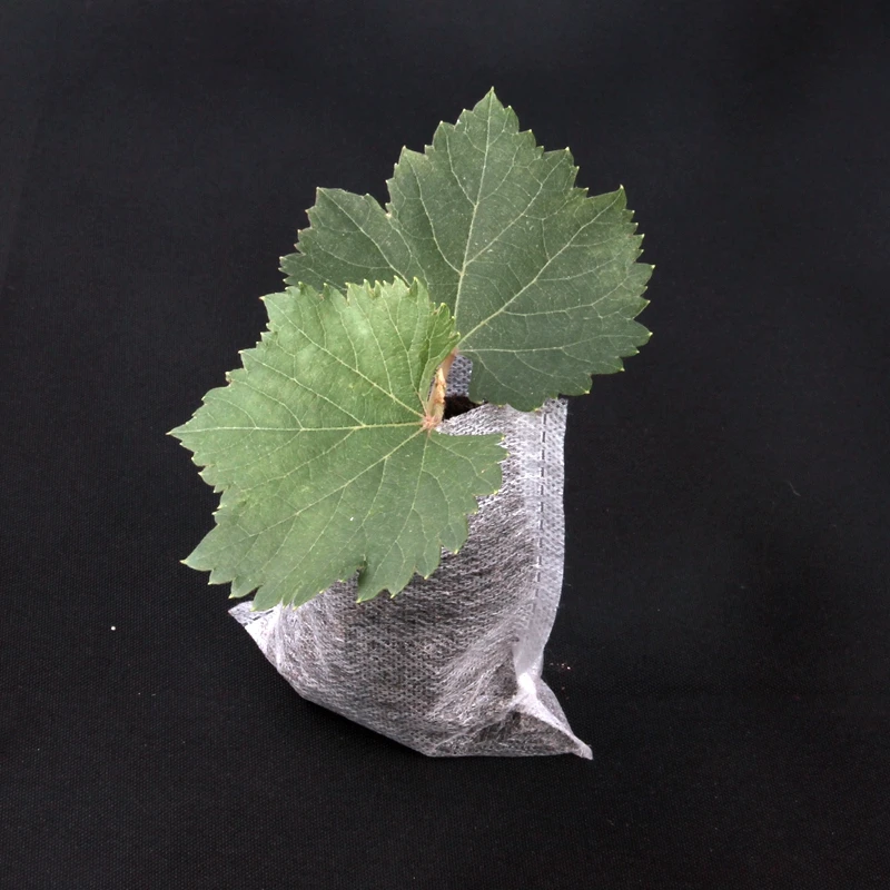 500pcs 9*10cm Seeding Bags White Plant-Fiber Nursery Pots Seedling-Raising Bags Environmental Protection Nursery
