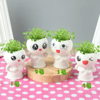 

Long Grass Head Doll Fleshy Flower Pot DIY Mini Cartoon Cute ceramic Flower Pot Simple Planting Potted Children Handmade