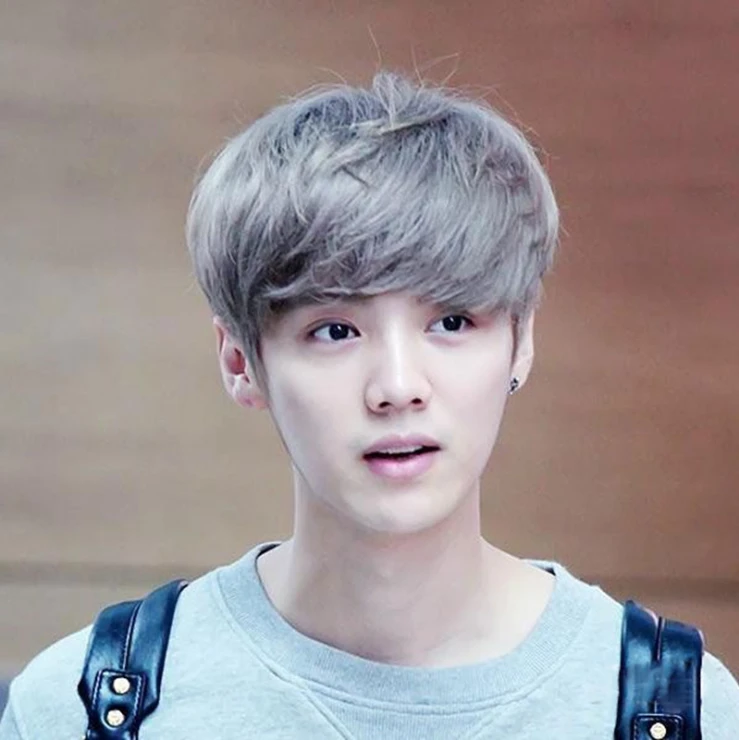 Korea Style Boy Short Straight Gray Hair Wig On Aliexpress