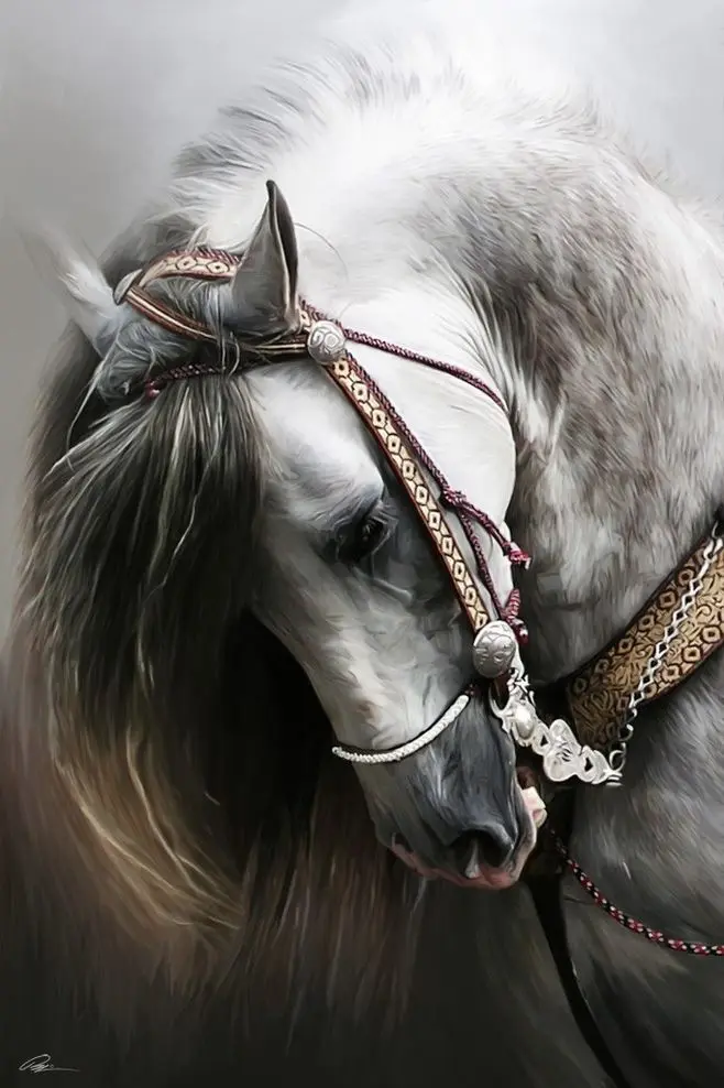 

oneroom Embroidery Counted Cross Stitch Kits Needlework - Crafts 14 ct DMC color DIY Arts Handmade Decor - Andalusian Horse