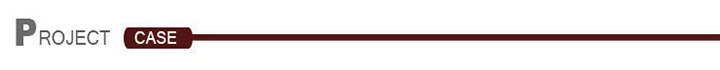 Project case