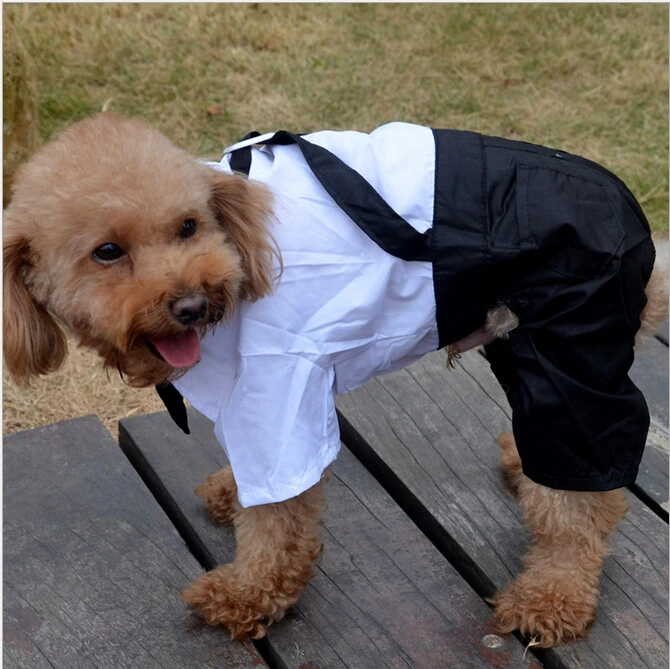 New Pet Dog Cloth Suit Pants Casual Dog Four legged pants trousers Costumes For Dog Christmas
