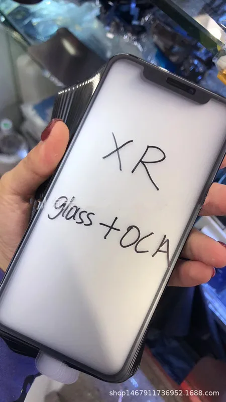 10145794541_585413918