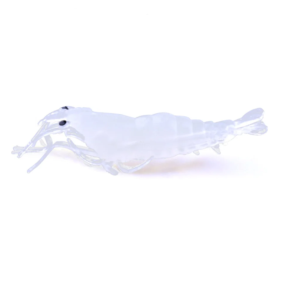 SO036-3