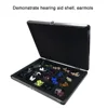 Presentation Display Case Box for Hearing Aids In-ear Monitors IEM Earphones Demonstration 3