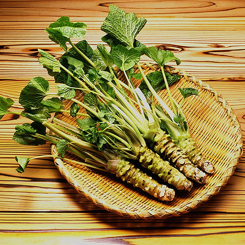

ZLKING 100pcs Very Rare Wasabi Japanese Mustard Vegetable Bonsai Plants