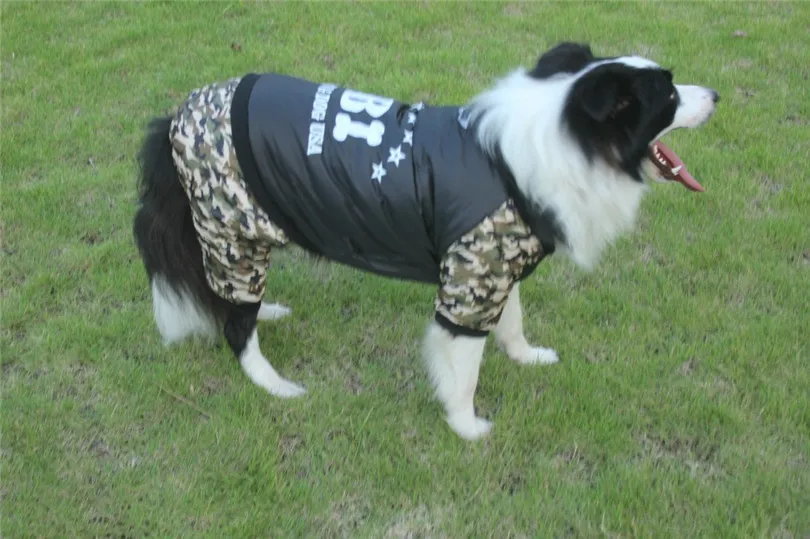 jacket dog winter (1)