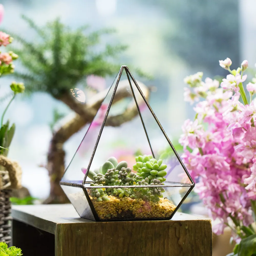 

Gardening Indoor Bonsai Planter Tabletop Modern Polyhedrons Glass Geometric Terrarium Succulent Air Plant Flower Pot Decorative