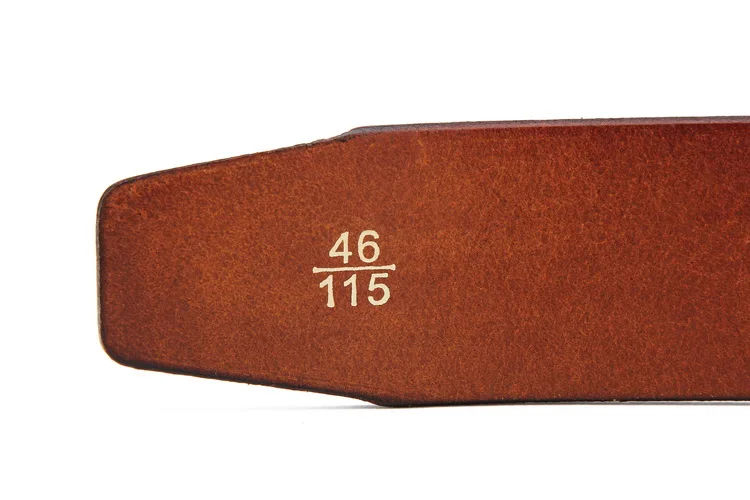 Z BELT (6)