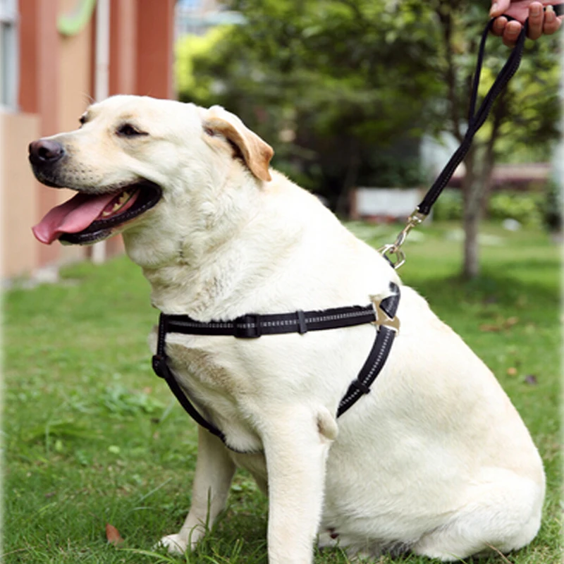 high Reflections Pet Dog Chest Belt , big Dog Chest