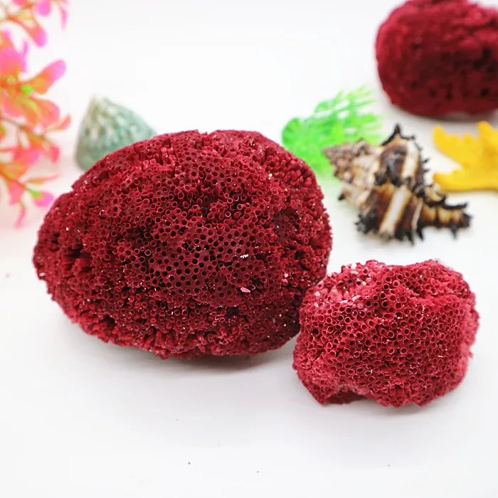 

Red White Coral craft deco aquarium Scenery Mediterranean Arrangement of Natural Sea Conch Shells
