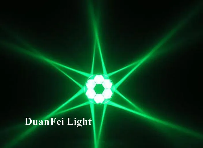 6 bee eyes moving head (21)