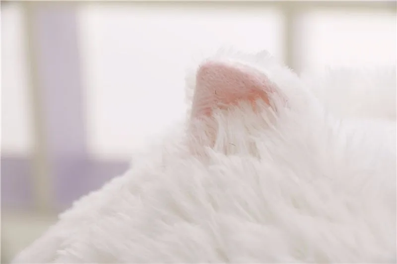 2118660733_960577503