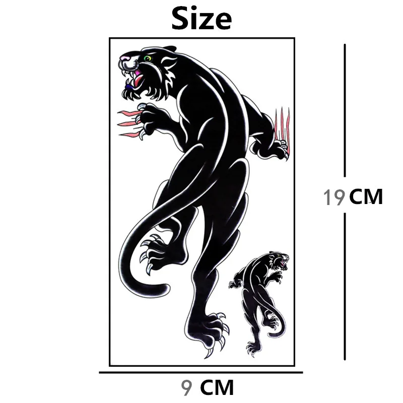 6_