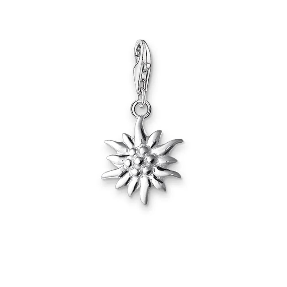 Серебряные маленькие подвески в виде снежинок Edelweiss для браслета модные