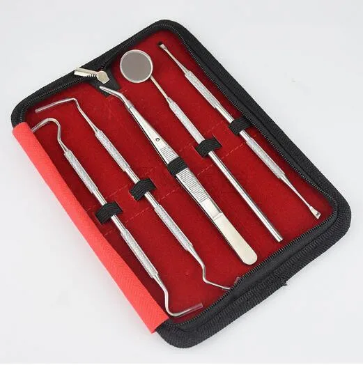 Buy 5Pcs Stainless Dental Tool Set Kit Dentist Teeth