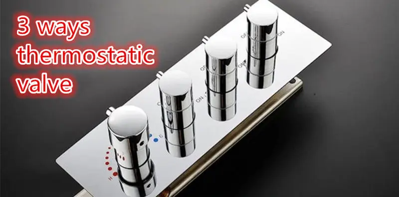 thermostatic shower controller