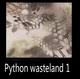 Python wasteland 1