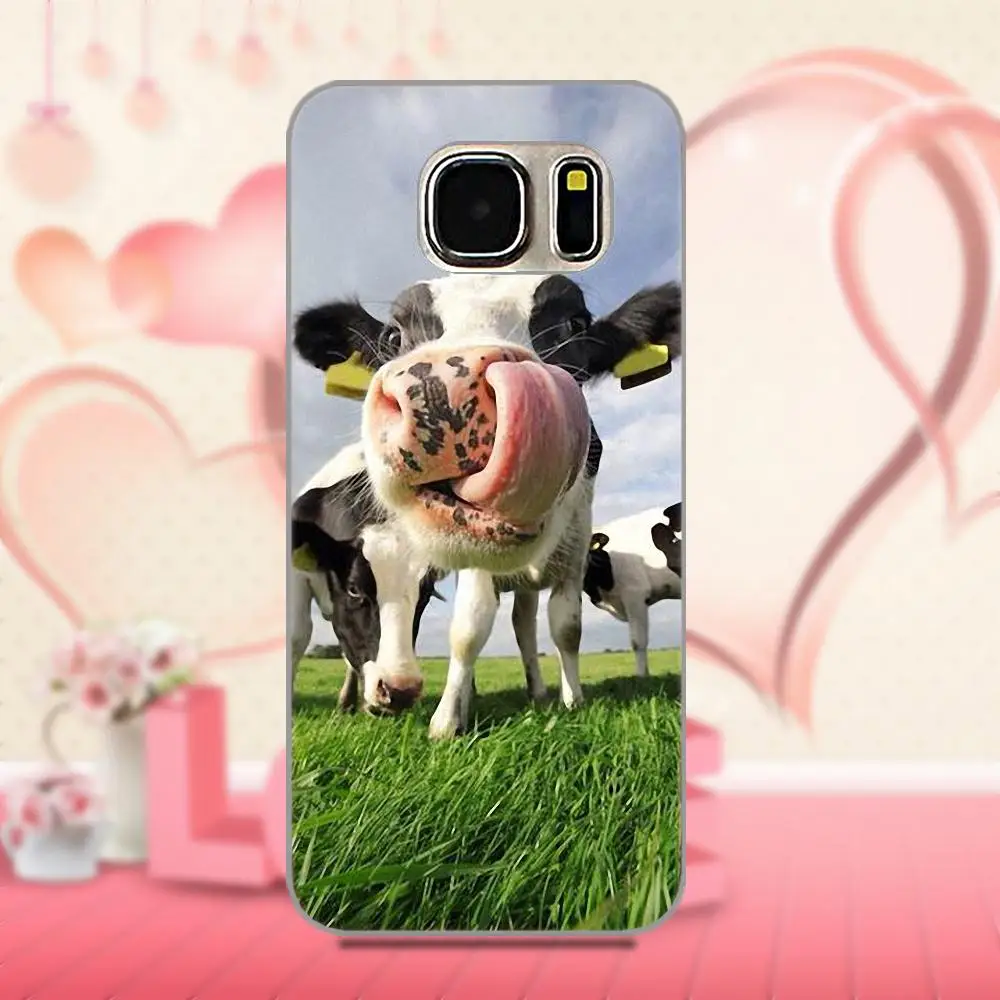 Oedmeb для Apple iPhone 4 4S 5 5C 5S SE 6 6S 7 8 Plus X For LG G3 G4 G5 G6 K4 K7 K8 K10 V10 V20 красочная корова|Бамперы| |