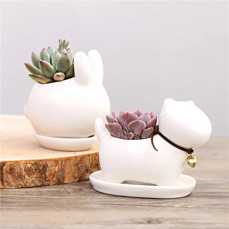 Buy cute Animals bonsai planters for balconies mini