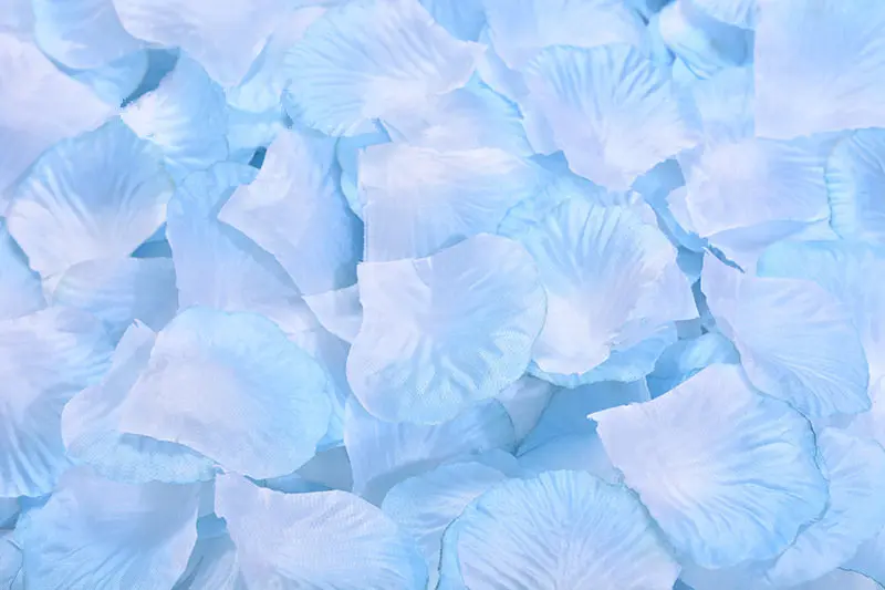 2382-26-10pcs-blue and white-