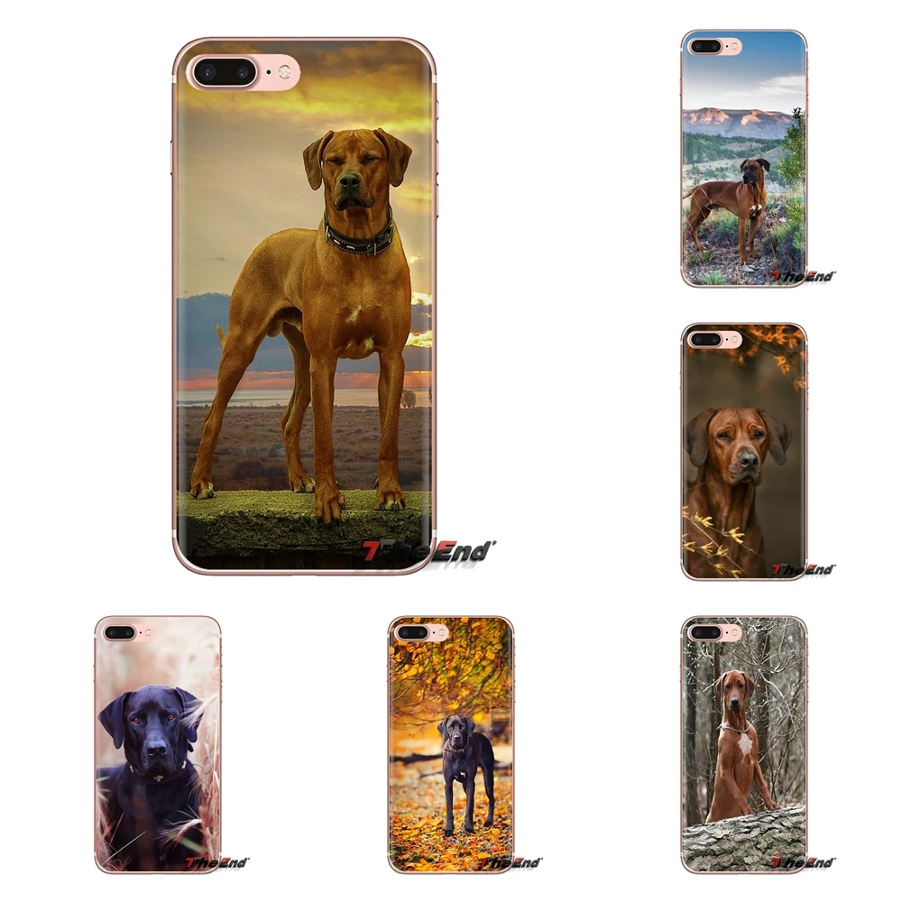 Мягкий прозрачный чехол для Xiaomi Redmi 4A S2 Note 3 3S 4 4X5 Plus 6 7 6A Pro Pocophone F1 Rhodesian Ridgeback Dog |