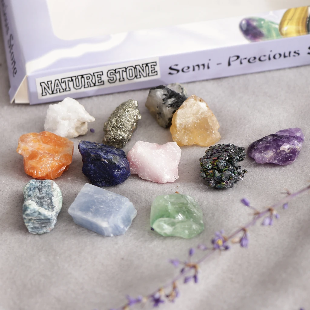 Rock and Mineral Collection PK546-5 Geology Science Kit Earth Science Toys