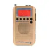 Portable Audio 