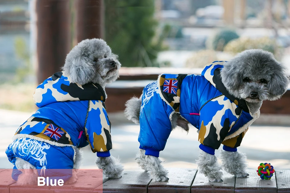 winter dog clothes 21