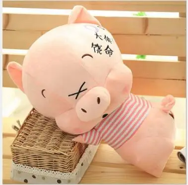 

WYZHY New Year Gift Mascot Couple Pigs Plush Toy Pillows for Children Friends 40cm
