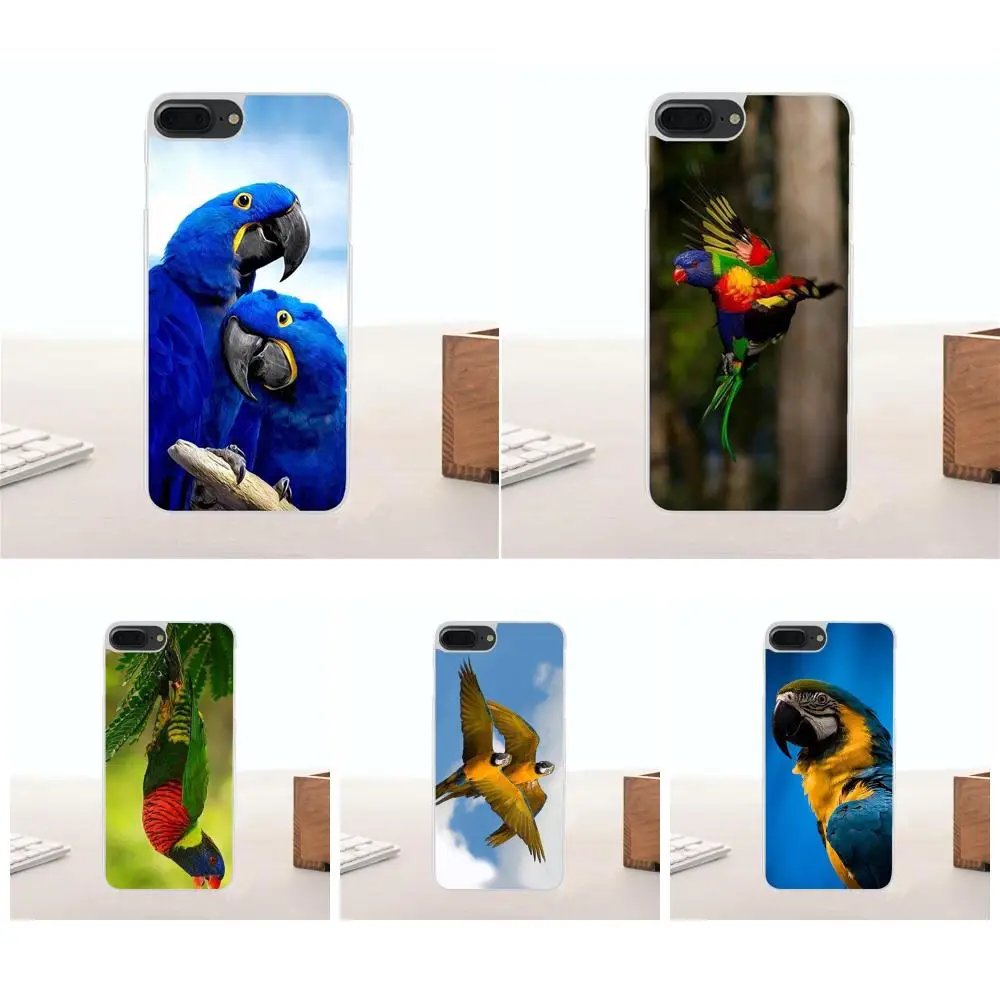 Rainbow Parrot For Huawei G7 G8 Honor 5A 5C 5X 6 6X 7 8 V8 Mate 9 P7 P8 P9 P10 Lite Plus Portugal Fashion Design Cell Case | Мобильные