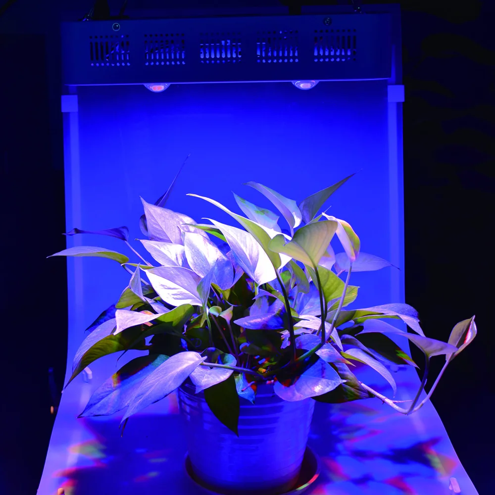Высокая НОМИНАЛЬНАЯ значение Солнца-4 1600 W вел растения растут свет с полным спектром 4 шт COB 64 шт чипсы двойной светодиодной для гидропоники