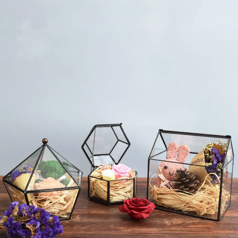 

New Creative Glass Box with Door Modern Minimalist Geometric Jewelry Ornaments Eternal Succulents Micro Landscape Basin