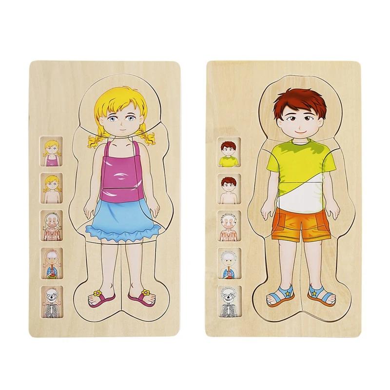Multi-Layer Wooden Human Puzzles Human Body Structure Toys Intellectual Wooden Educational Toys Children'S Early Education Edu