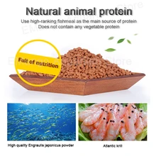 ゴールデンアロワナ生殖フィード肉食魚食用と白と消化することができ Aliexpress ホーム ガーデン ゴールデンアロワナ生殖フィード肉食魚食用と白と消化することができ Aliexpress ホーム ガーデン
