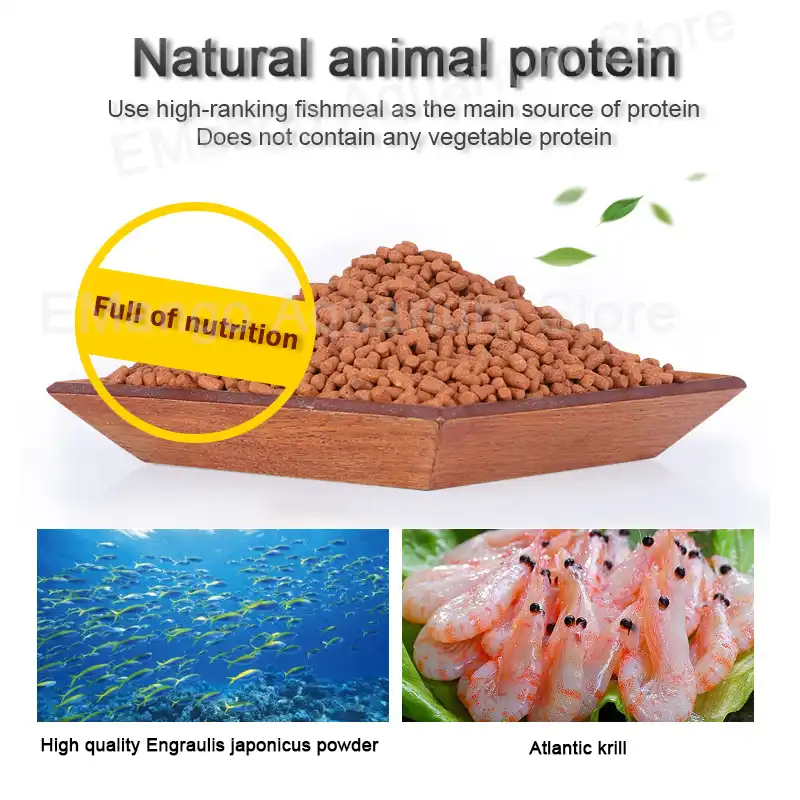 ゴールデンアロワナ生殖フィード肉食魚食用と白と消化することができ Aliexpress