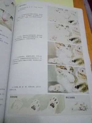 Chinese Gongbi Painting Book Cat \ Chinese Gongbi Painting Book Cat \